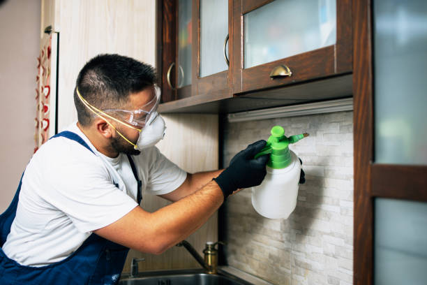 Pest Control Cost in Wildwood, MO