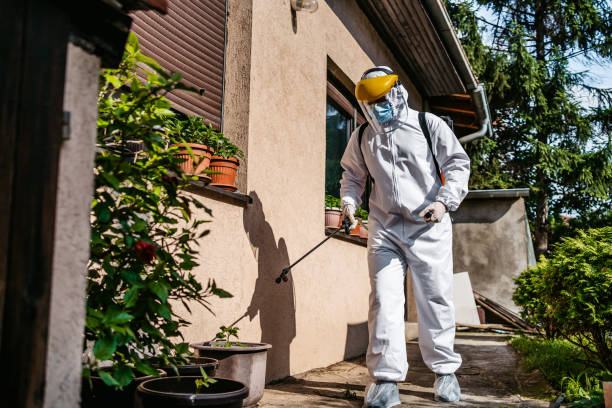 Best Local Pest Control Services  in Wildwood, MO