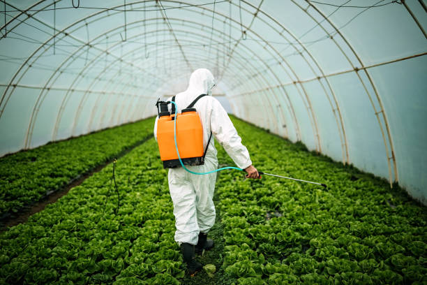 Best Mosquito Control Services  in Wildwood, MO