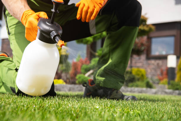 Best Wildlife Control Services  in Wildwood, MO