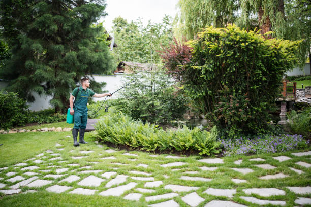 Pest Prevention Services in Wildwood, MO