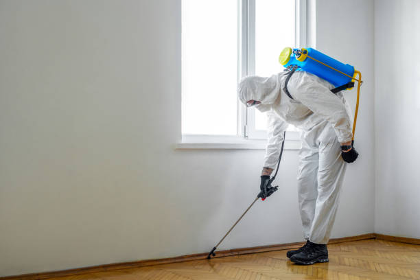 Best Best Pest Control Companies  in Wildwood, MO