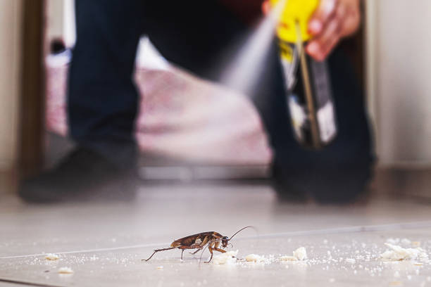 Best Pest Removal Services  in Wildwood, MO