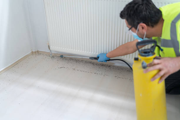 Reliable Wildwood, MO Pest Control Solutions